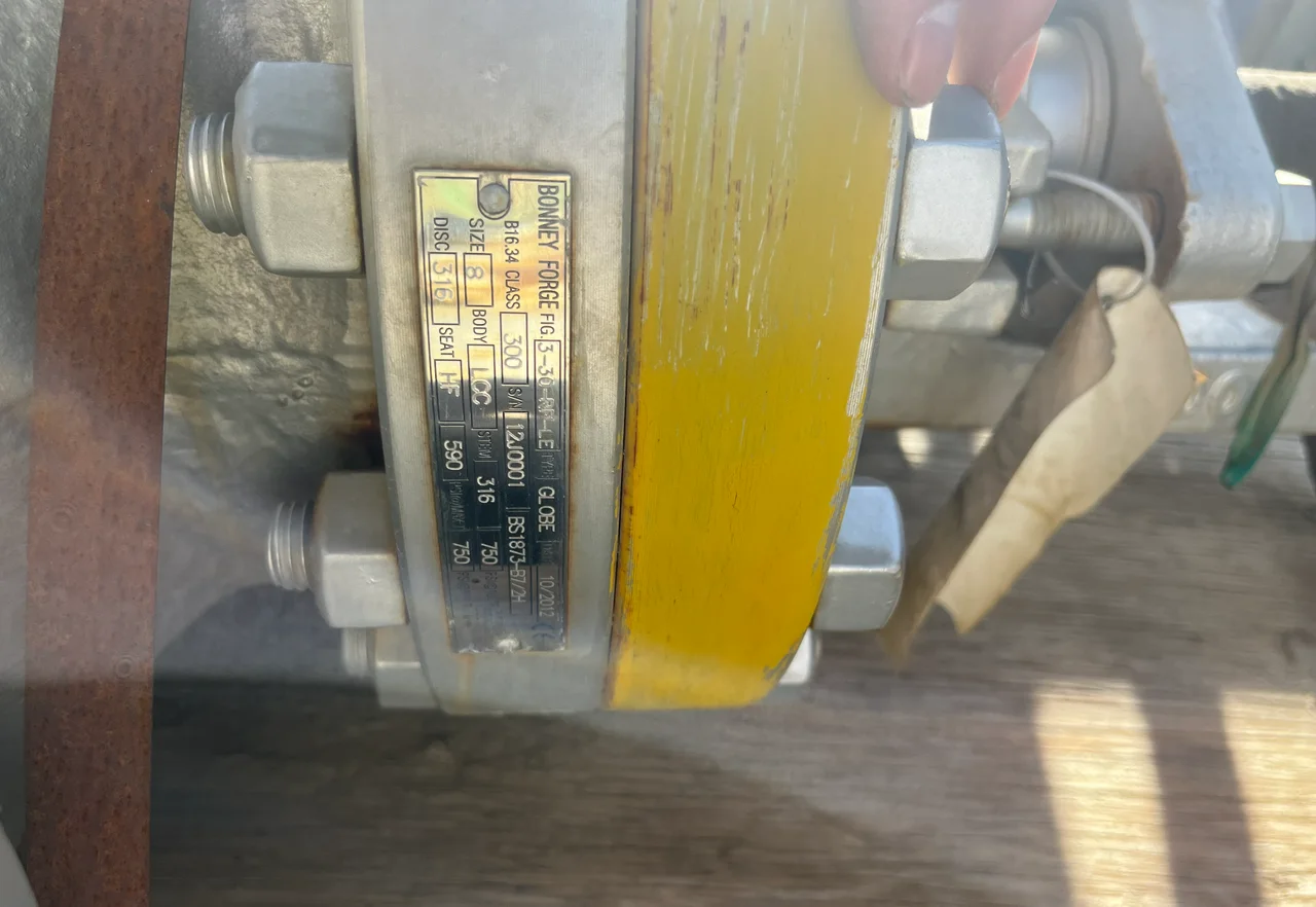 Bonney Forge Globe Valve B-300 8-inch Class 150 — product image 2 of 2