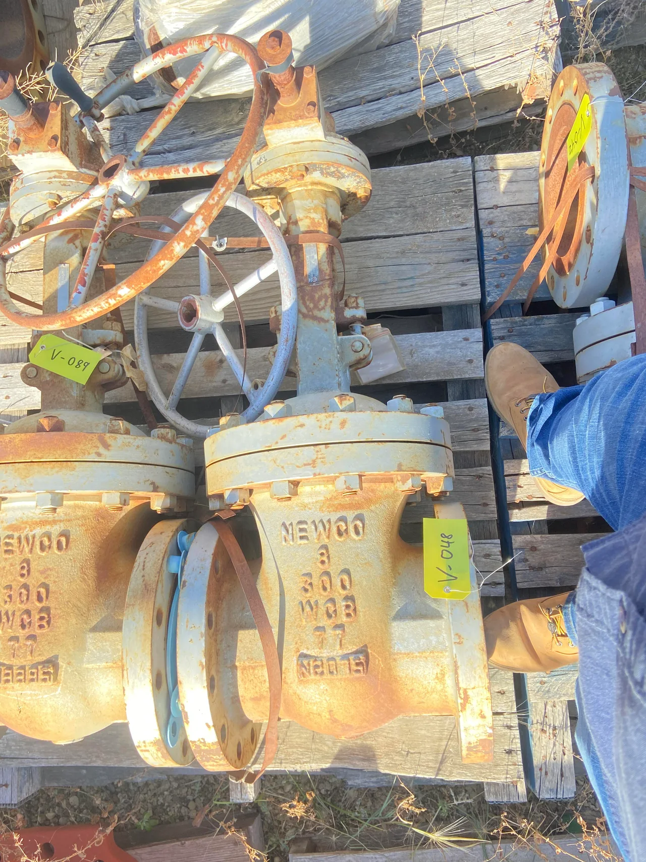 Newco FIG 13-1B 8 Inch Class 300 Cast Steel Gate Valve — product image 2 of 3