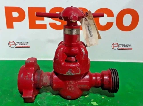 Cameron Demco 2" DM Gate Valve 5000 PSI — primary product image