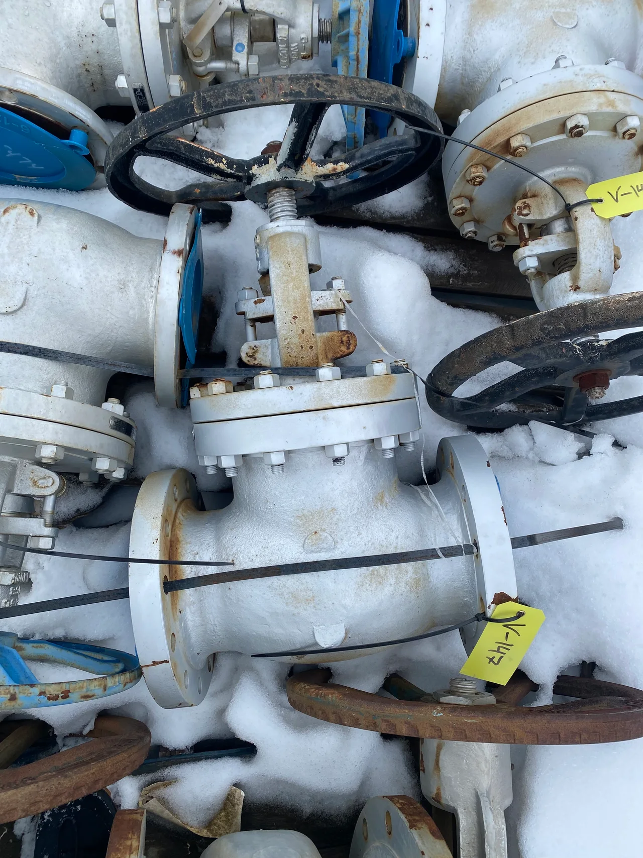 Williams Valve Corporation 6 Inch Class 300 Globe Valve — primary product image