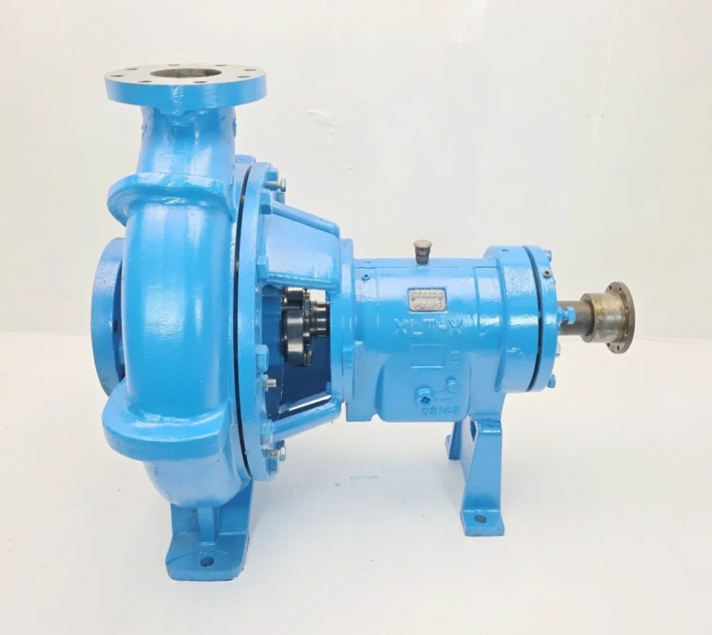 Goulds 3196 XLT-X 4x6-17 Centrifugal Pump — primary product image