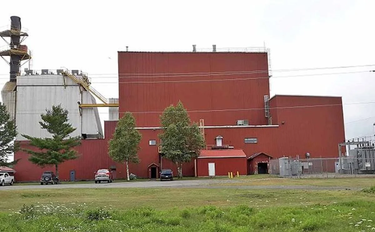 1986 GE-McGraw-Towerpak-Belco 18MW Biomass Steam Turbine Generator — primary product image
