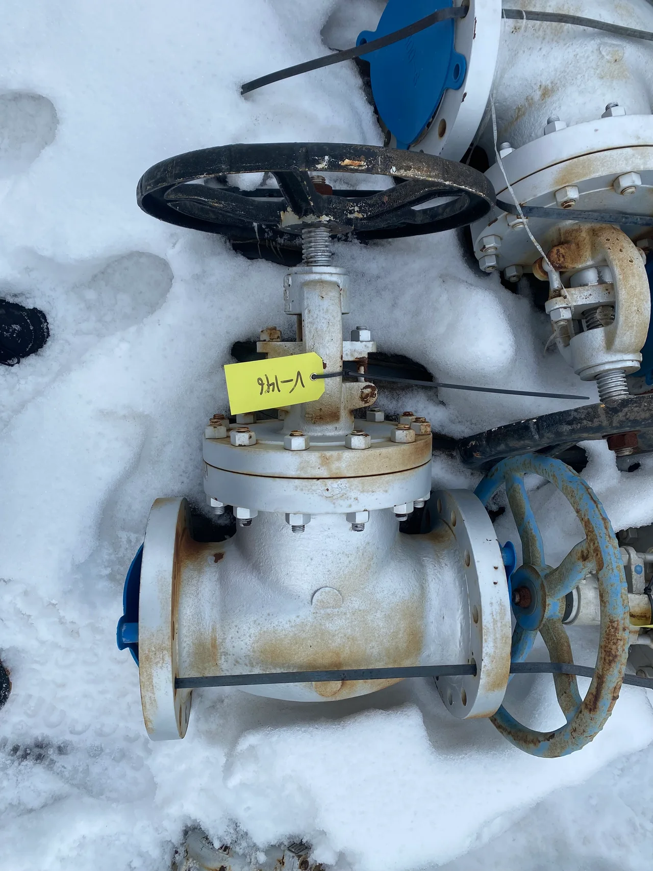 Williams Valve Corporation 6 Inch Class 300 Globe Valve — primary product image