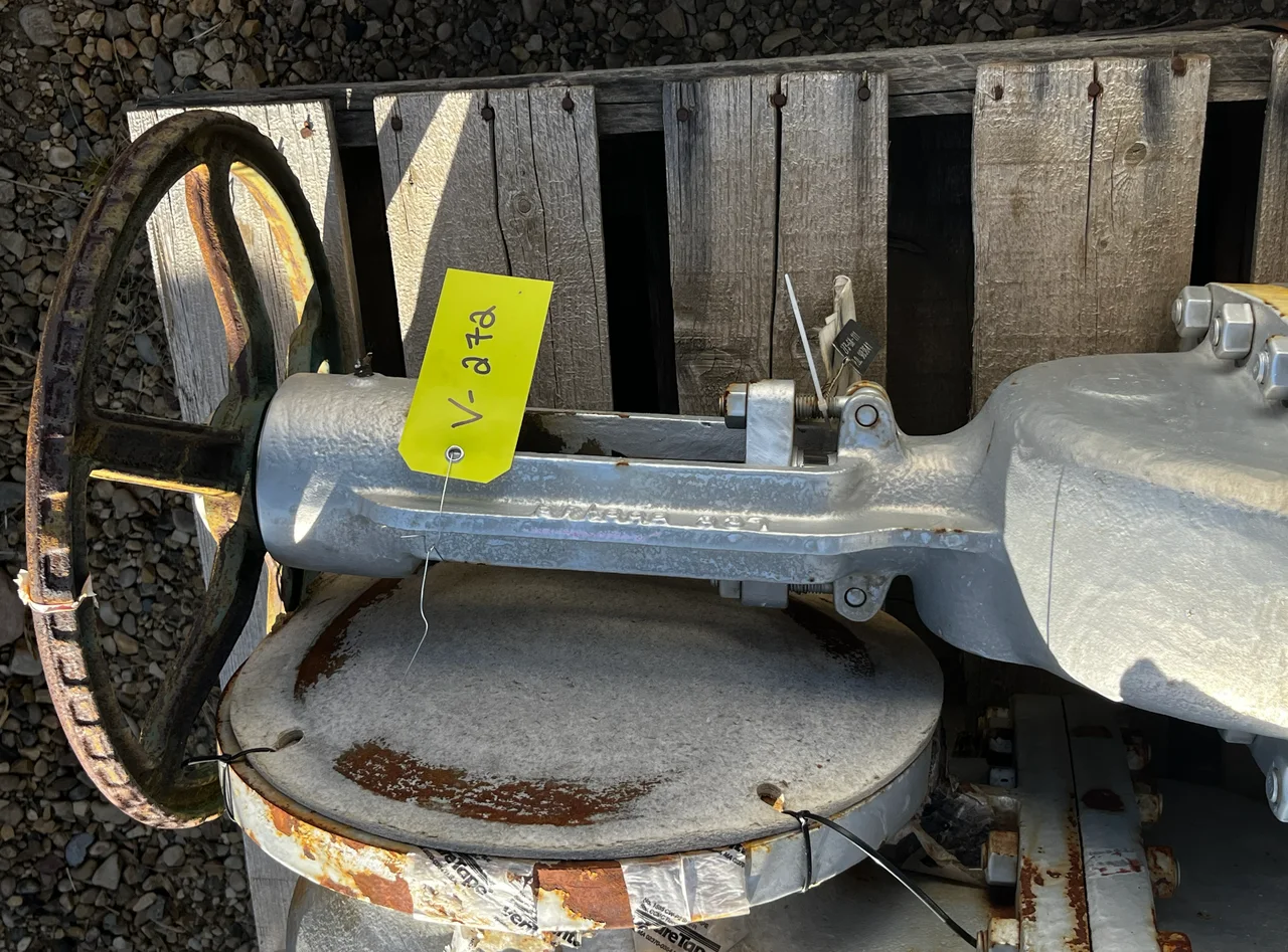 Bonney Forge 10-Inch Class 150 Cast Steel Gate Valve HCI-10-RE-LEH-YA — product image 2 of 3