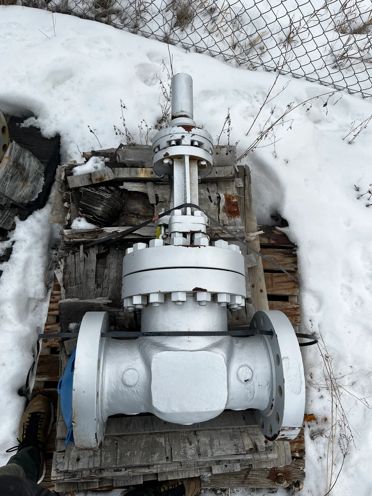 Velan 6 Inch Class 900 Bolted Bonnet Gate Valve — primary product image