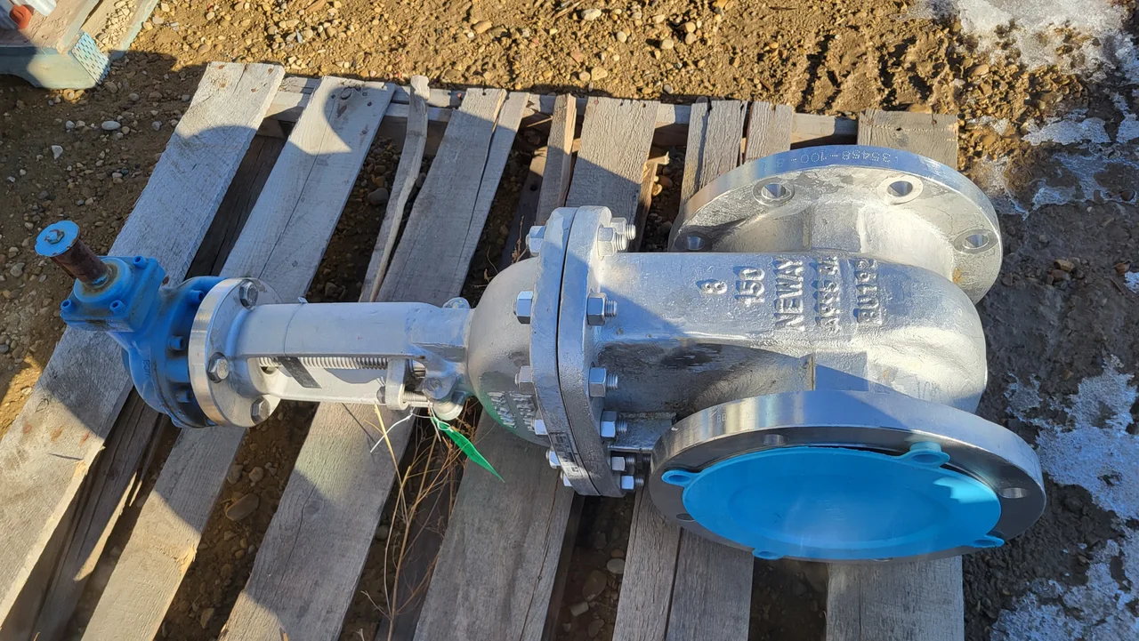 Neway BG1RNF51-HFW-T-G-600 8-Inch Class 150 Gate Valve — product image 2 of 4