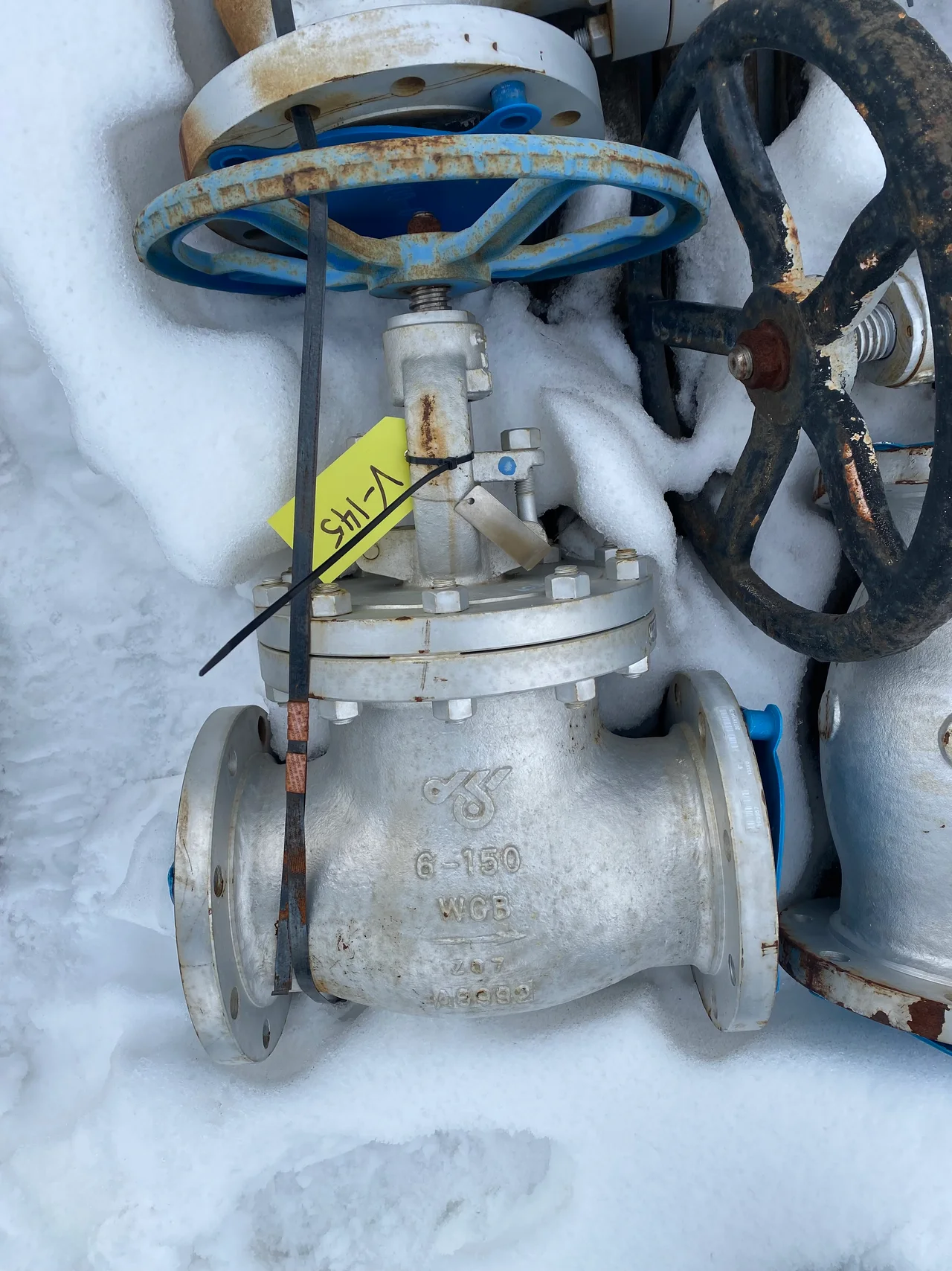 DSI Cast Steel Gate Valve Fig. 1873Xu, 6 Inch, Class 150, WCB — primary product image