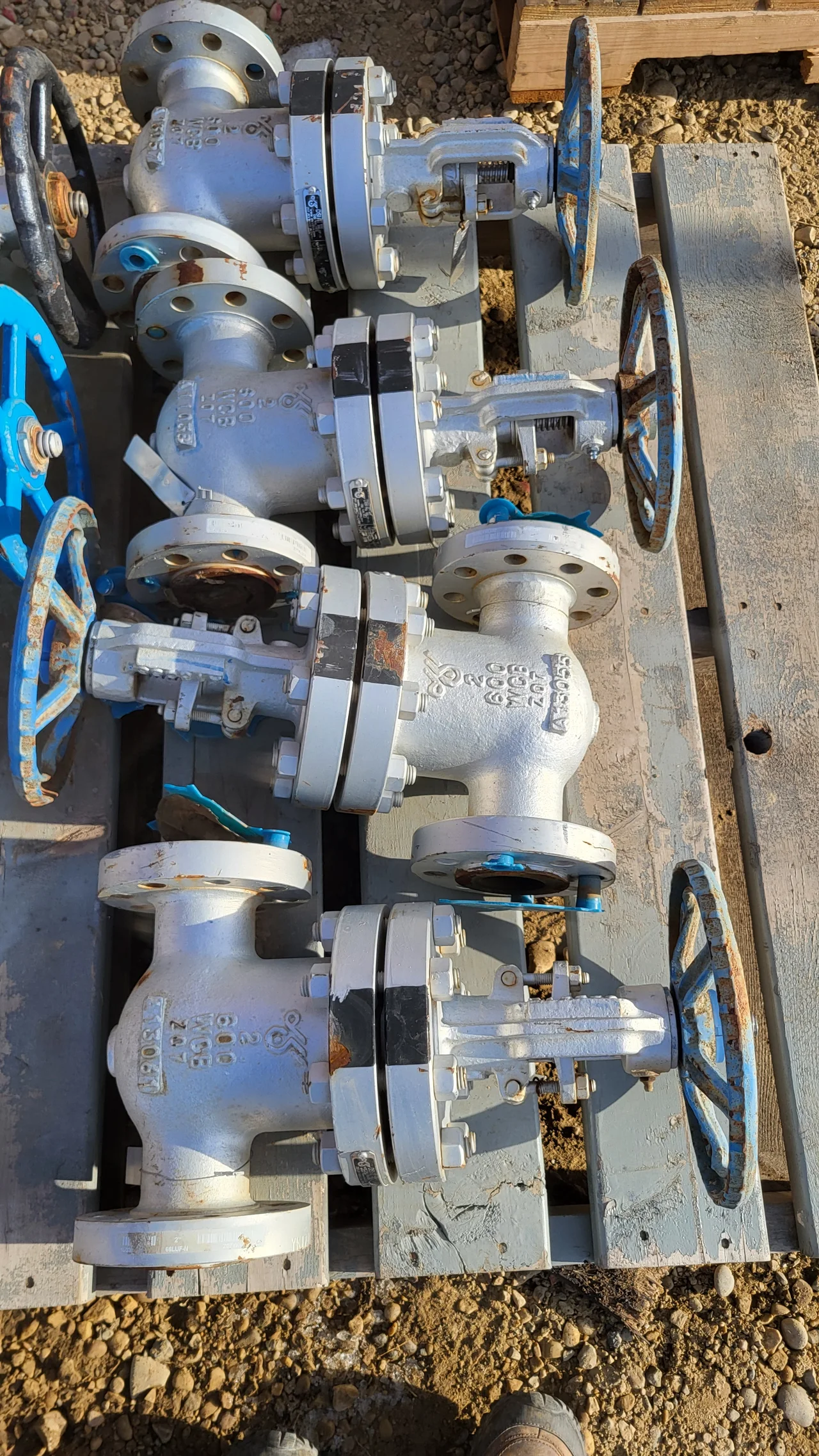 DSI Globe Valve Fig. 66LUF-N – 2" Class 600 WCB/Stainless Trim 12 — product image 2 of 4