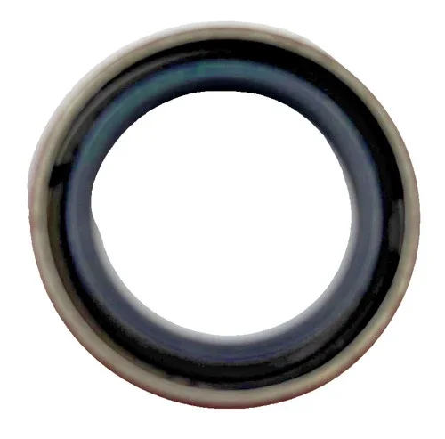 Timken 471413 National Oil Seal 1.250 x 1.752 x 0.250 — product image 2 of 4
