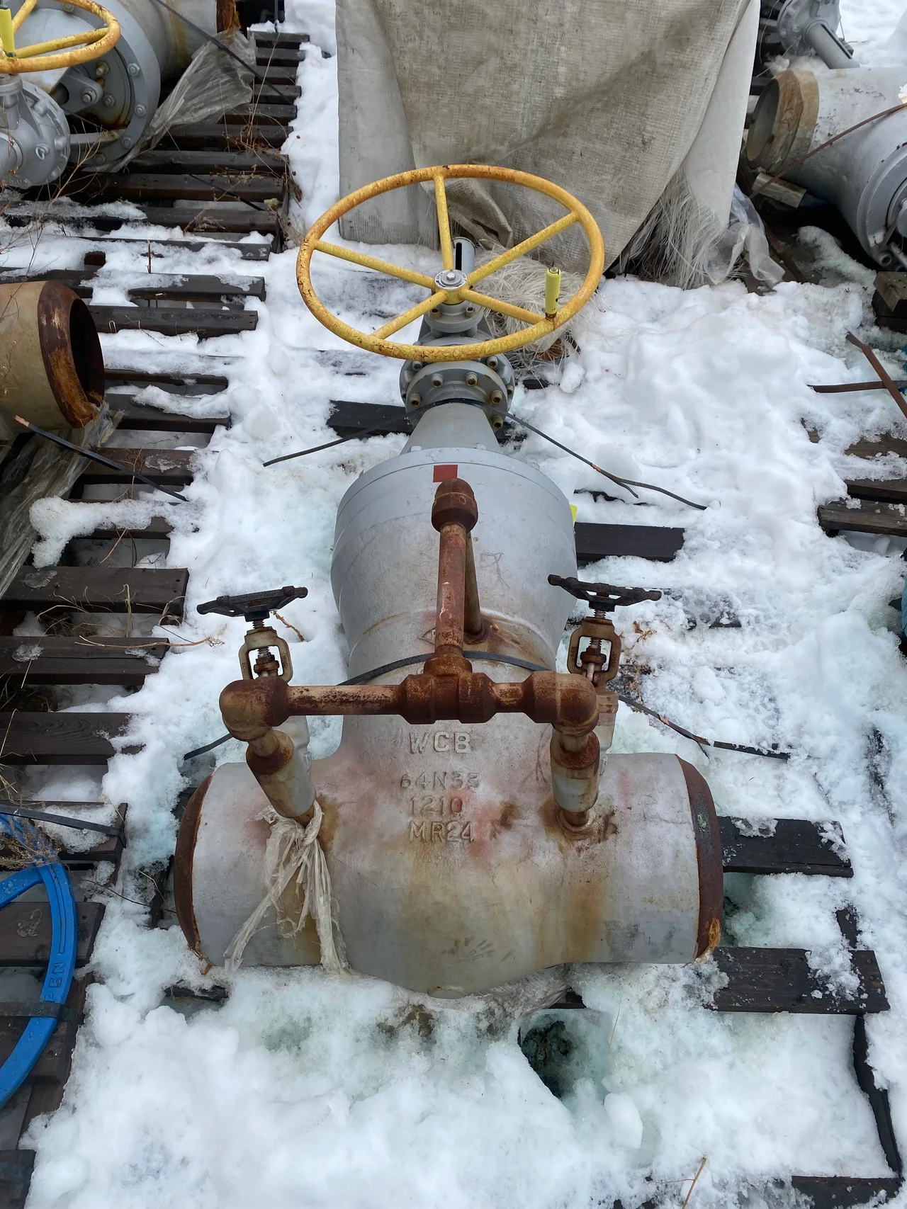 William E. Williams Class 900 10 Inch Gate Valve — product image 2 of 7