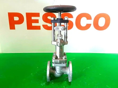 Phönix Armaturen-Werke Class 150 1-inch CF8M Globe Valve — primary product image