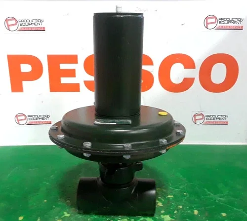 Mallard Control 5450 Close-Coupled Dump Valve, Model 5450-285-673DB-18M, 2-Inch — primary product image