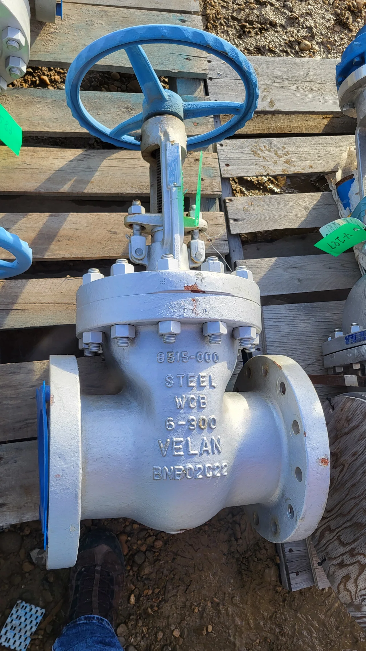 Velan 6-inch Class 300 Cast Steel Gate Valve F14-1064C-02TY — primary product image