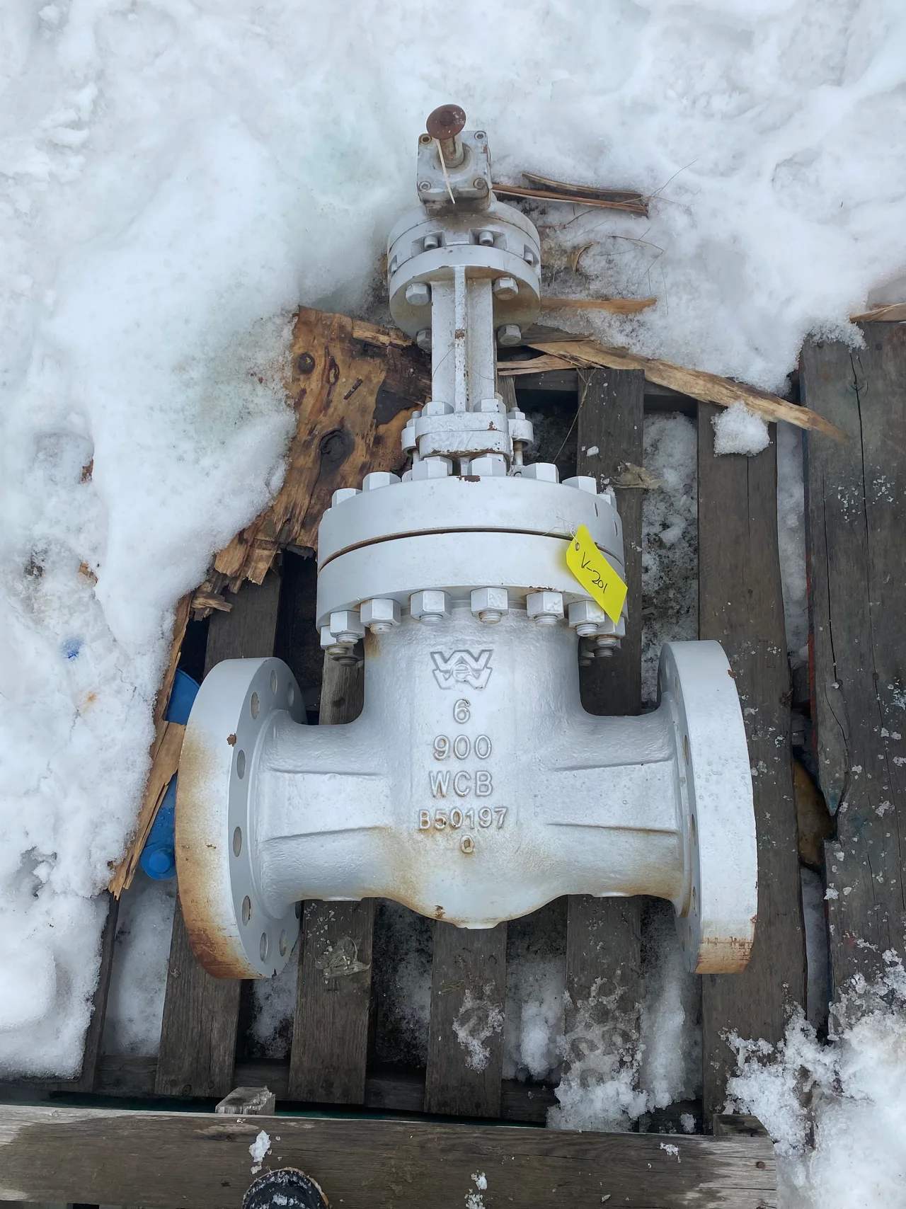Williams Valve Corporation Class 900 Gate Valve, 6 Inch, Model 9G02160 — primary product image