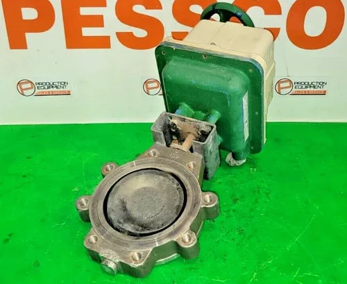Bray 6 Inch Lug Style Butterfly Valve CF8M with Van Zandt LADCX3000UA32-UP Electric Actuator