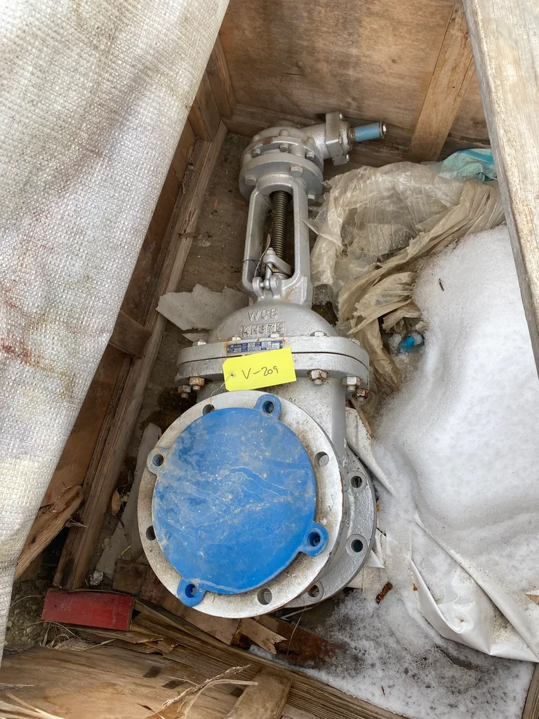 Neway 8 Inch Class 150 Gate Valve