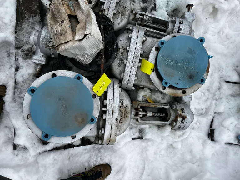 Williams Valve 8-inch Class 150 Gate Valve A216 WCB