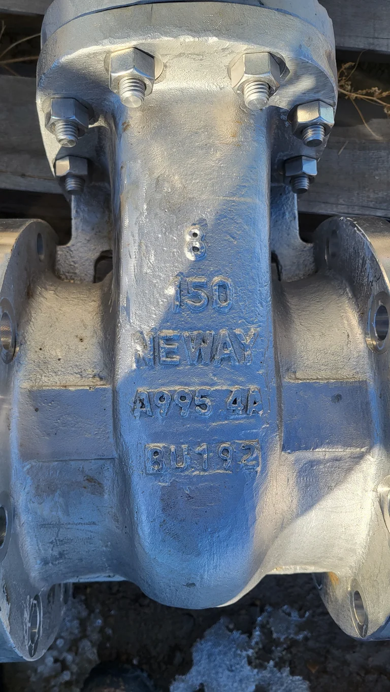 Neway BG1RNF51-HFW-T-G-600 8-Inch Class 150 Gate Valve