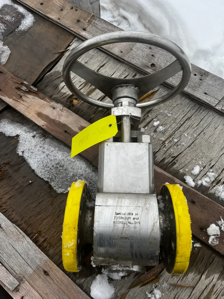 Red Point 2" Class 300 Duplex Stainless Steel Gate Valve