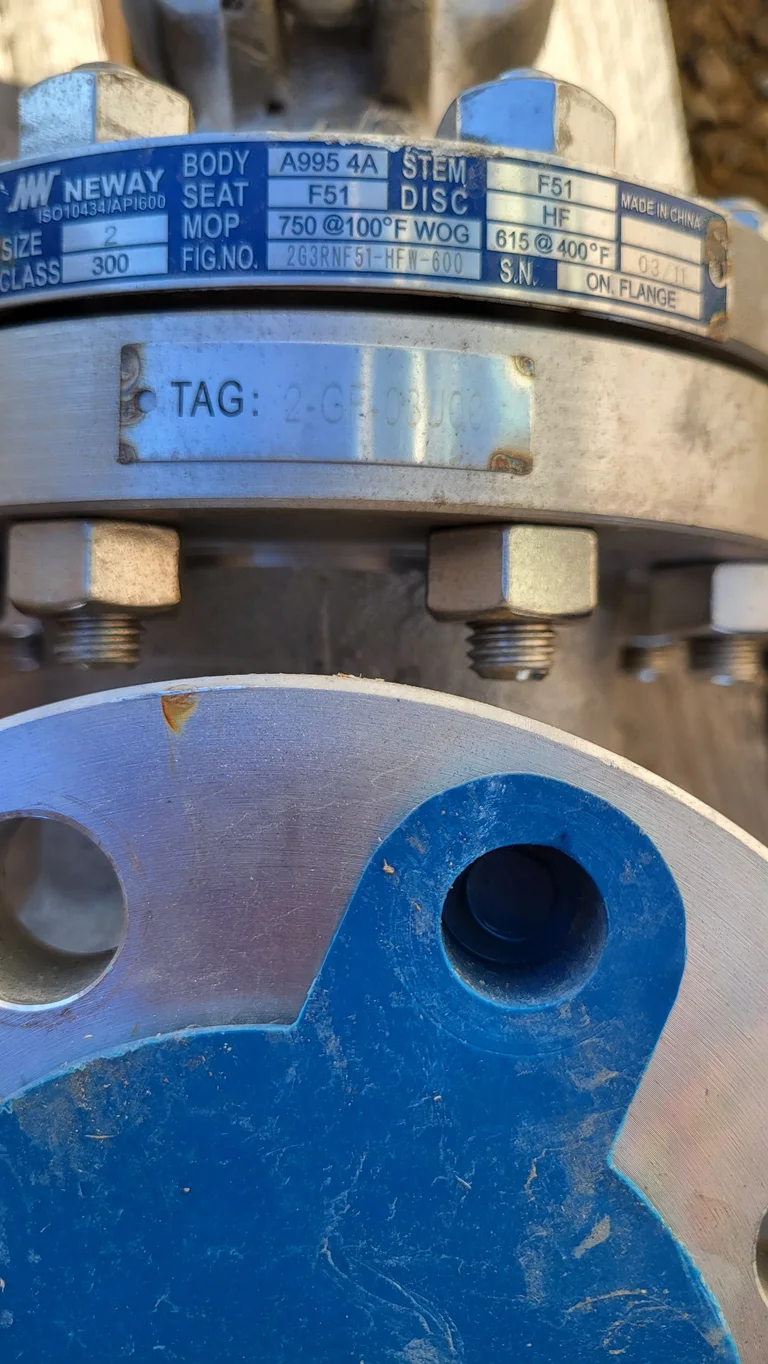 Neway 2-Inch Class 300 Gate Valve FIG. 2G3RNF51-HFW-600