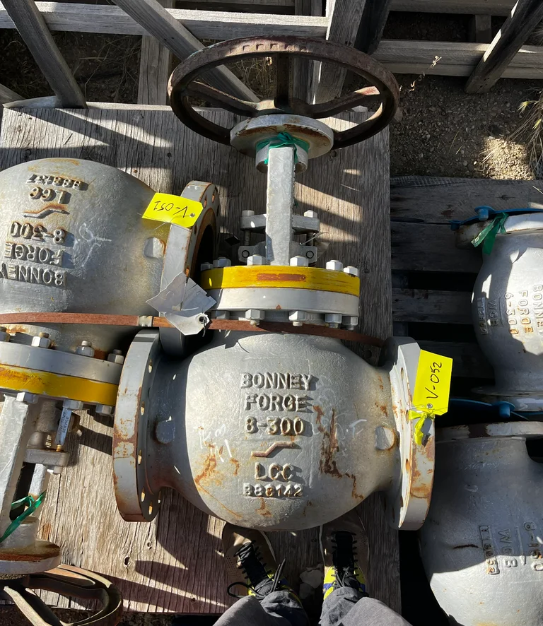 Bonney Forge Globe Valve B-300 8-inch Class 150