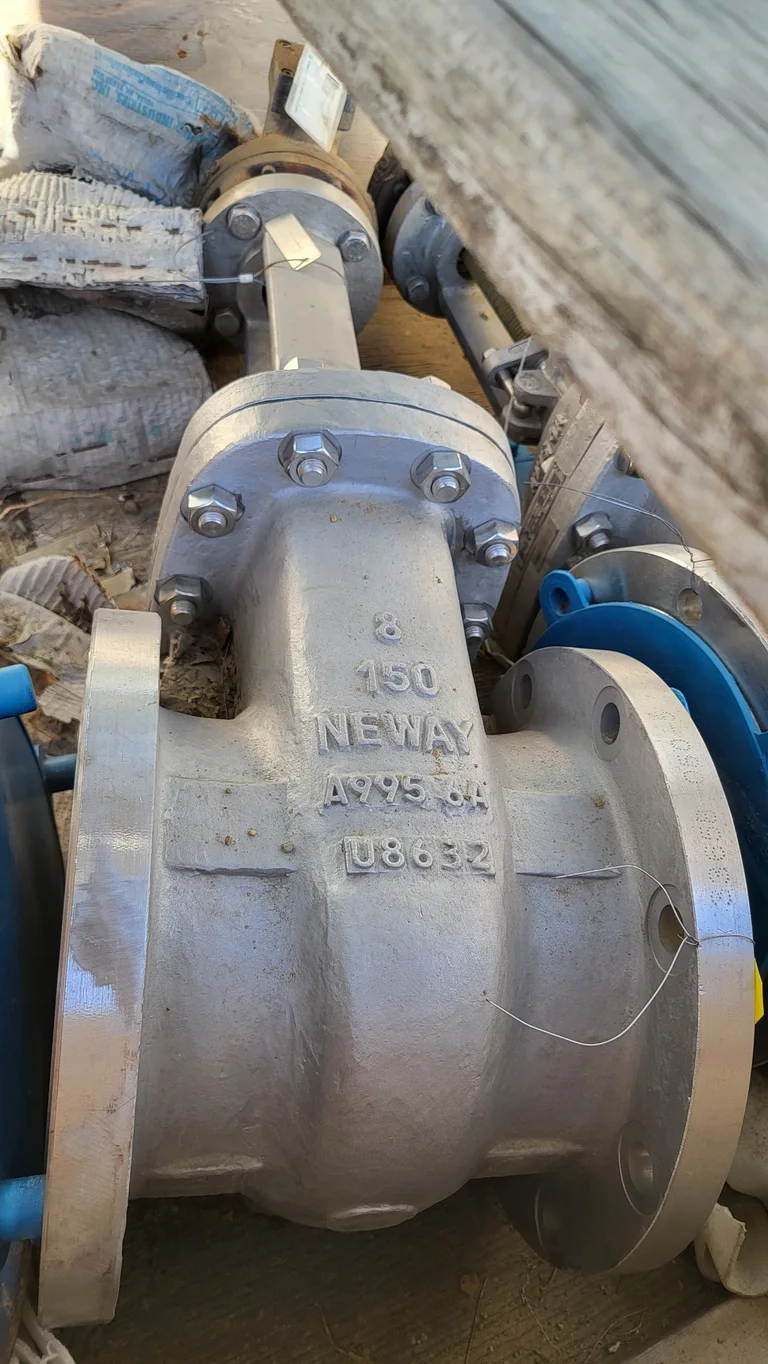 Neway Gate Valve 8G1RXF53-HFW-G-600, 8 Inch, Class 150