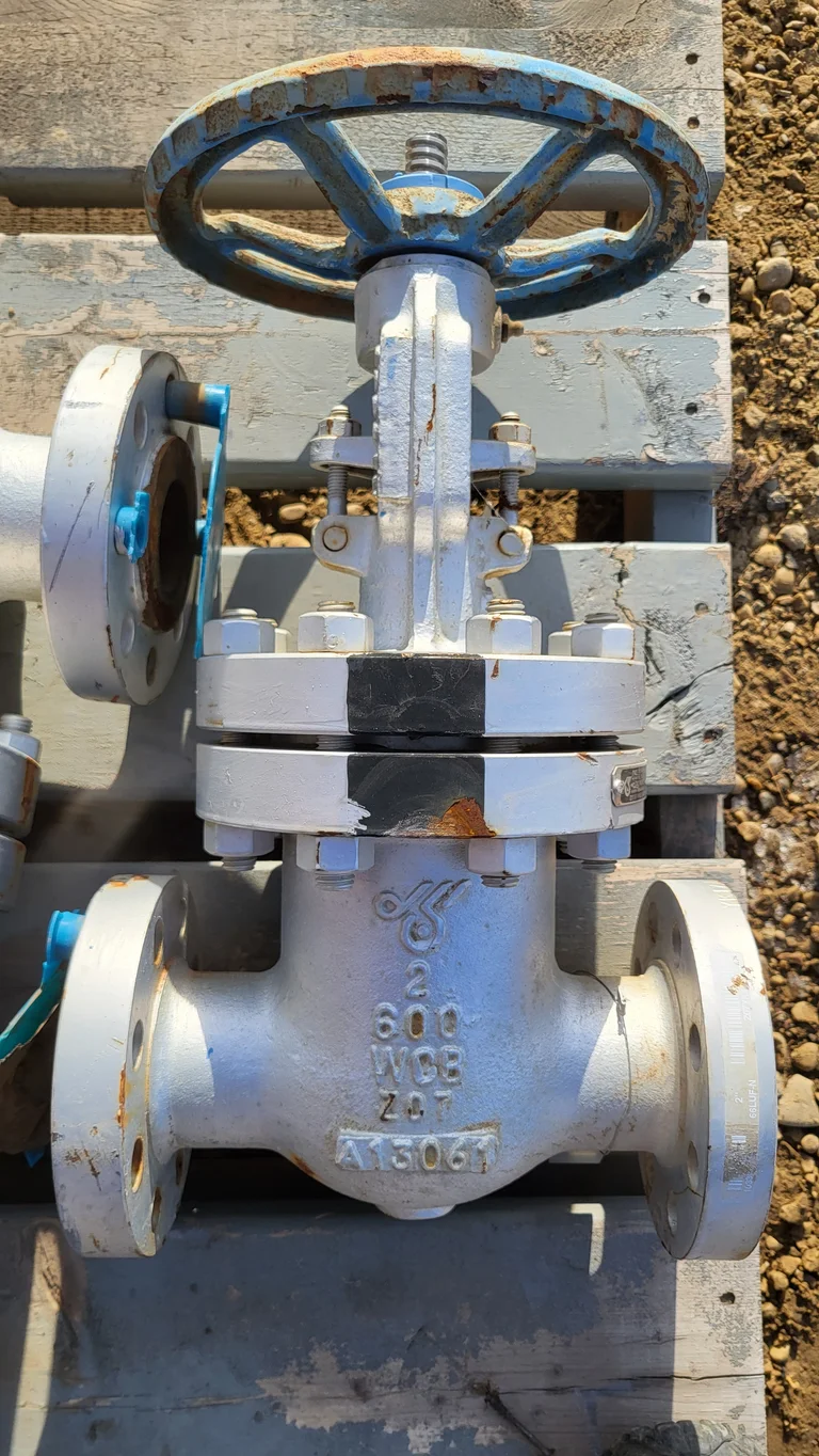DSI Globe Valve Fig. 66LUF-N – 2" Class 600 WCB/Stainless Trim 12
