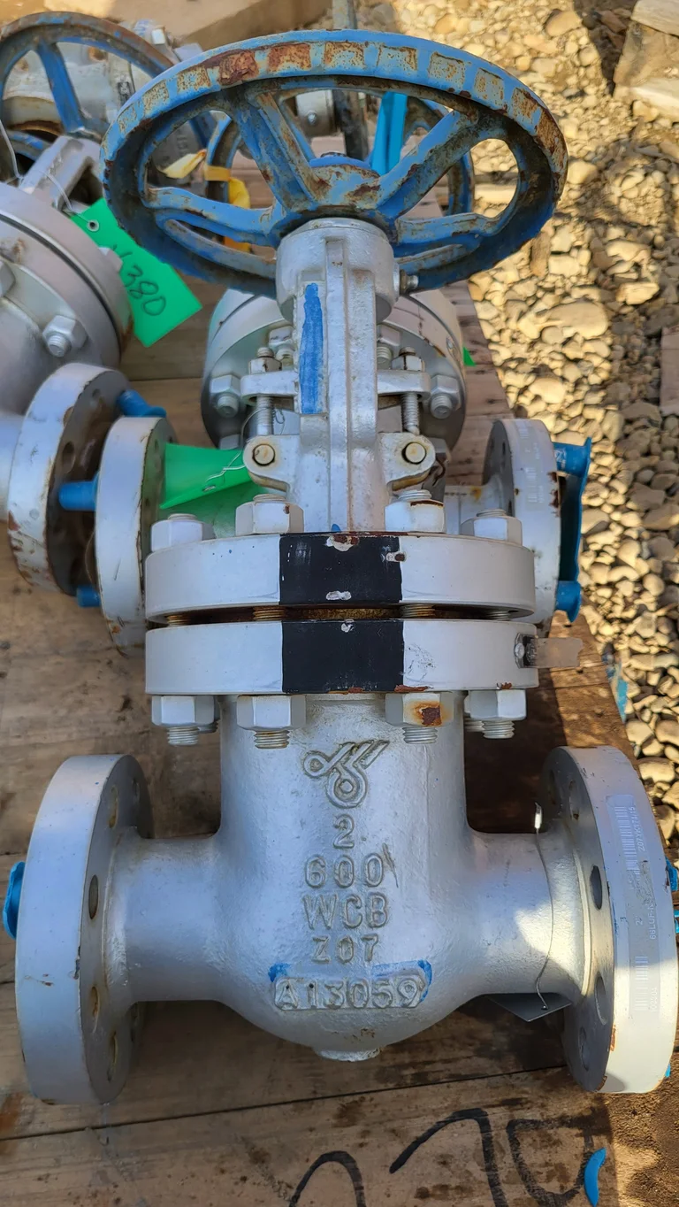 DSI Globe Valve Fig. 66LUF-N – 2" Class 600 WCB/Stainless Trim 12