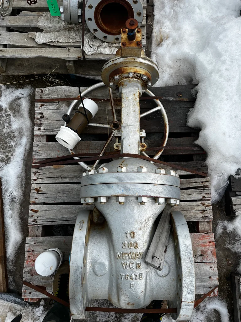 Neway 10 Inch Class 300 Cast Steel Gate Valve
