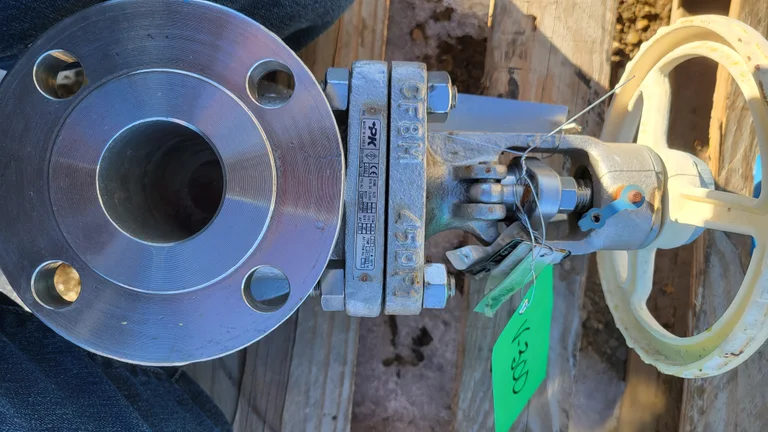 PK Valve 2-Inch Class 150 Stainless Steel Gate Valve Fig. No. 150RF12SH-GRF High-Temp