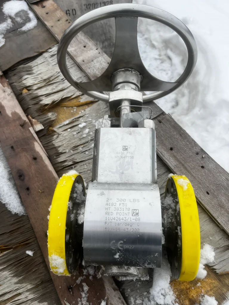 Red Point 2-Inch Class 300 Duplex Stainless Steel Plug Valve