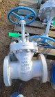 View Velan 6-inch Class 300 Cast Steel Gate Valve F14-1064C-02TY image 1
