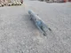 View Plant Process Equipment Inc. Gas Scrubber 14" x 6'6" image 3