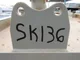 View Industrial Containment Skid SK136 image 5