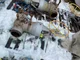 View William E. Williams Class 900 10 Inch Gate Valve image 1