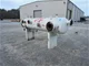 View PESI 30in x 10ft Horizontal 3-Phase Separator image 4