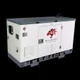 View Wildcat Freedom 15kW Tier 4 Final Diesel Generator RE0015D4ASXP image 1