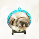 View Goulds 3175 Centrifugal Process Pump, 14x14-22, Stainless Steel image 9