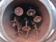 View PECO Series 75H Horizontal Gas Filter Model 75H-8-FG372 image 5