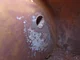 View Permian Tank & Manufacturing 6'x20' Vertical Treater image 7