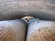 View Dickson Welding Horizontal Air Receiver Tank 48in x 40ft image 4