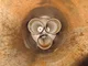 View PECO Peach Gemini Purasep Horizontal Gas Coalescer GCPH-3-373-16-860 image 1