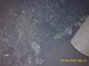 View NATCO Glycol Contactor Tower 12.75 inch x 25.5 ft image 9