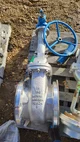 View Neway 10-Inch Class 150 Gate Valve Fig. No. G1RZF53HFW-T-600-NC-G image 2