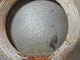 View Lagrange Products Van Air Systems Pressure Vessel Model 46-1501-LP1040-4411 image 6