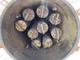 View KMI Fabricators Vertical Cartridge Filter Vessel 20" x 5' image 13