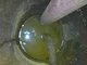 View R.W. Holland Hairpin Heat Exchanger 2' x 9'6" image 6