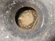 View Atlantic Fabrication and Design Vertical Gas Scrubber SEPV-1604-720, 16" x 4' image 6