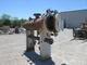 View Dickson Welding Horizontal Air Receiver Tank 48in x 40ft image 13
