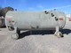 View CE Natco Horizontal Skimmer Vessel ELT U15701-01 image 9